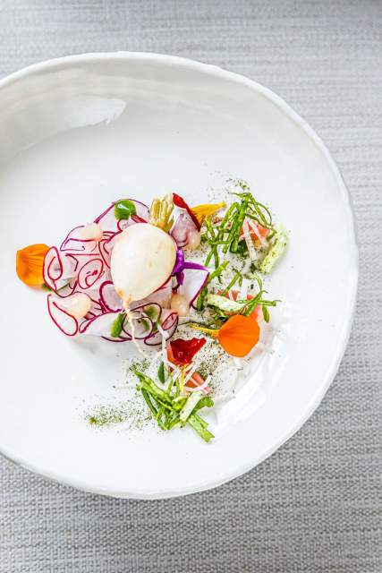 Galerie Photos · Domaine de Beaulieu 