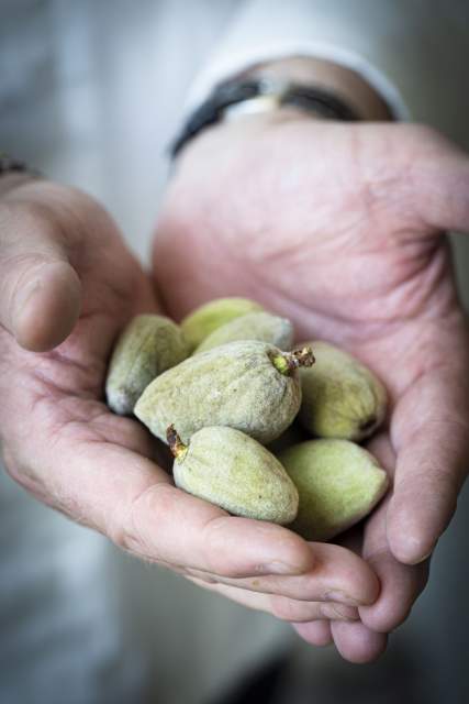 Galerie Photos · Domaine de Beaulieu 