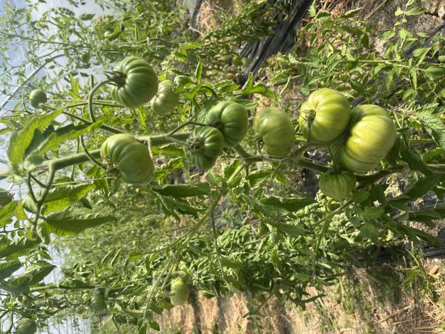 Galerie Photos · Domaine de Beaulieu 