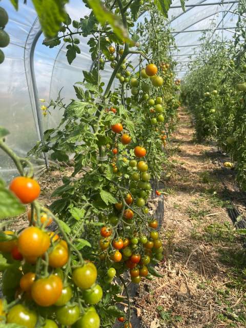 Galerie Photos · Domaine de Beaulieu 