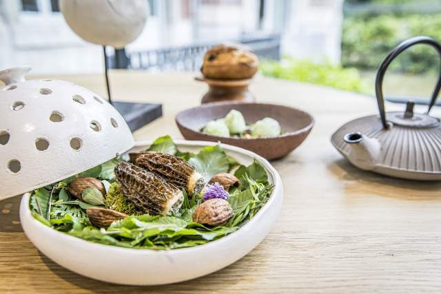 Galerie Photos · Domaine de Beaulieu 