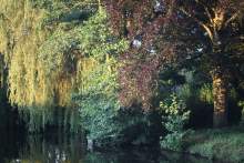 Domaine de Beaulieu · Park &amp; Garden Space
