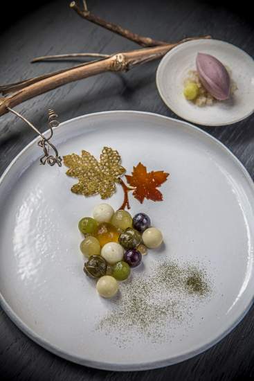 Christophe &amp; Delphine Dufossé · Domaine de Beaulieu | Equipe