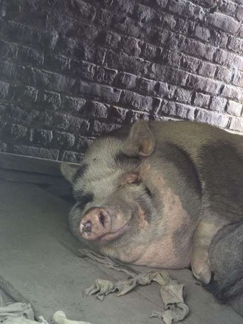 Galerie Photos · Domaine de Beaulieu 