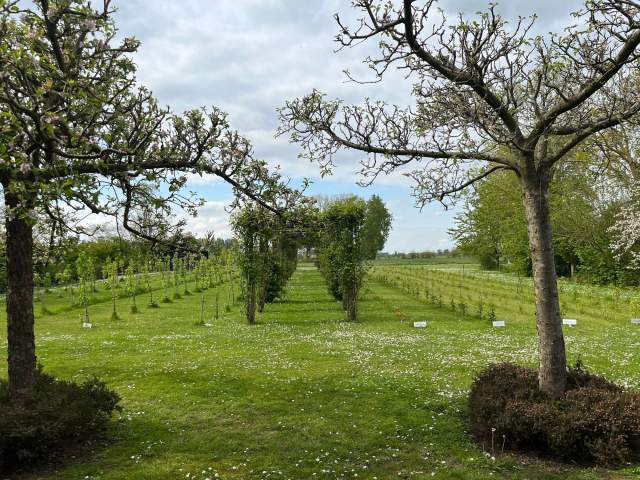 Gardens