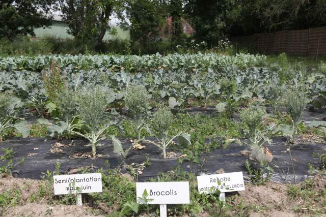 Galerie Photos · Domaine de Beaulieu 