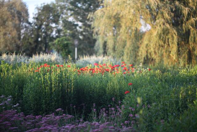 Galerie Photos · Domaine de Beaulieu 