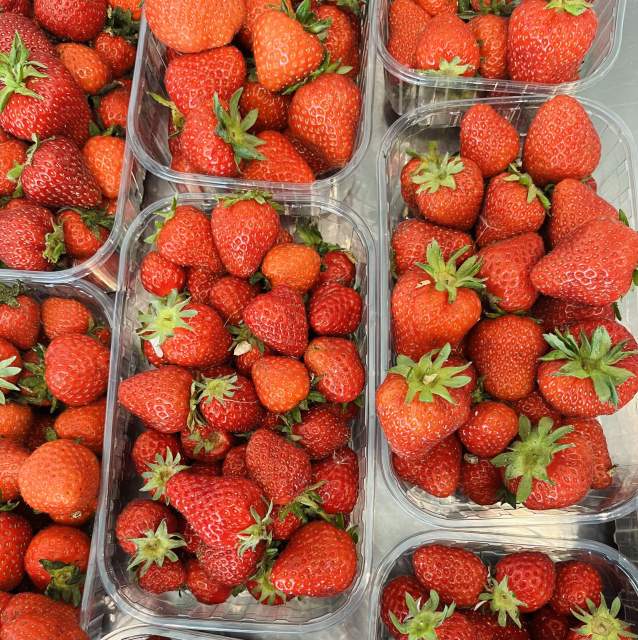 Galerie Photos · Domaine de Beaulieu 