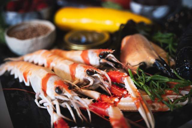 Galerie Photos · Domaine de Beaulieu 