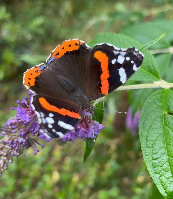 Galerie Photos · Domaine de Beaulieu 