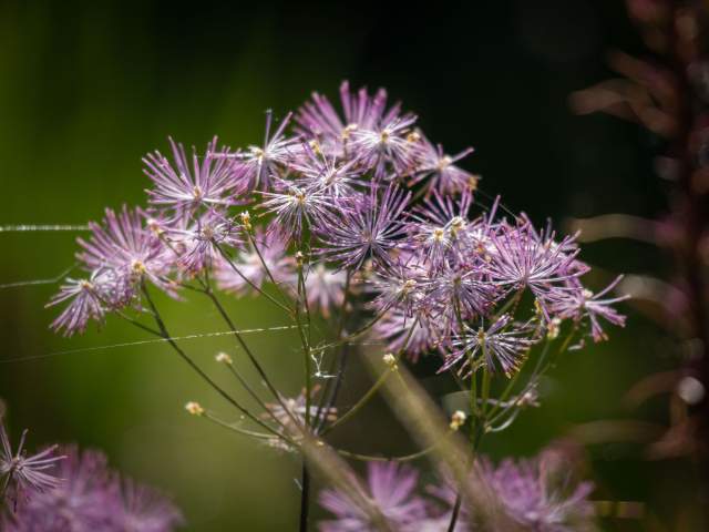 Galerie Photos · Domaine de Beaulieu 