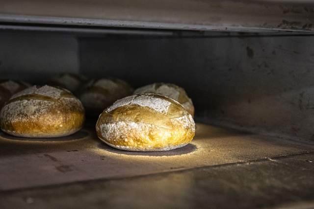 Galerie Photos · Domaine de Beaulieu 