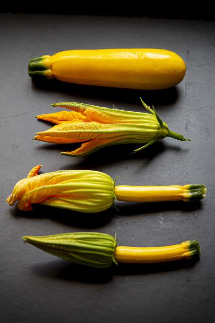 Galerie Photos · Domaine de Beaulieu 