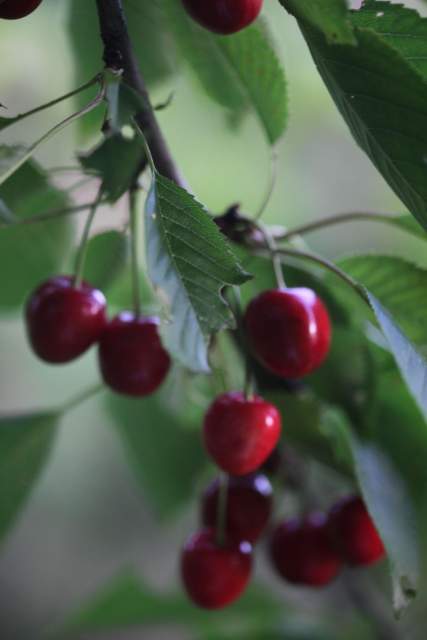 Galerie Photos · Domaine de Beaulieu 