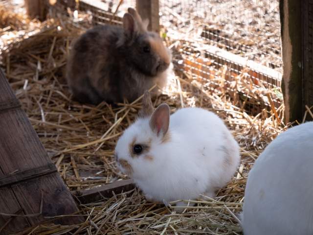 Galerie Photos · Domaine de Beaulieu 