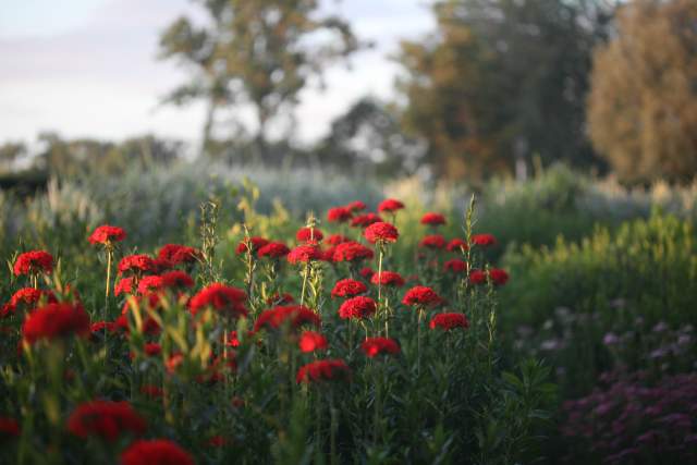 Galerie Photos · Domaine de Beaulieu 