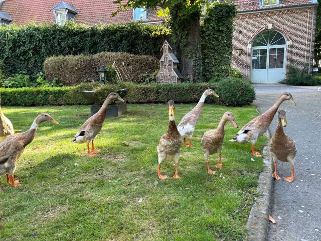 Galerie Photos · Domaine de Beaulieu 