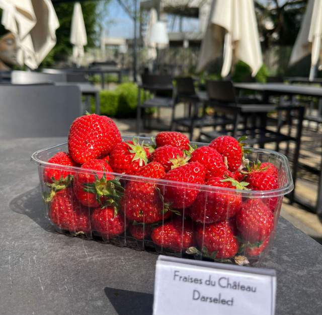 Galerie photo - Domaine de Beaulieu 