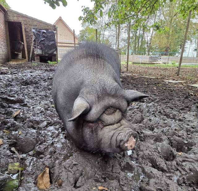 Galerie Photos · Domaine de Beaulieu 