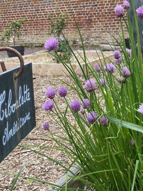 Galerie photo - Domaine de Beaulieu 