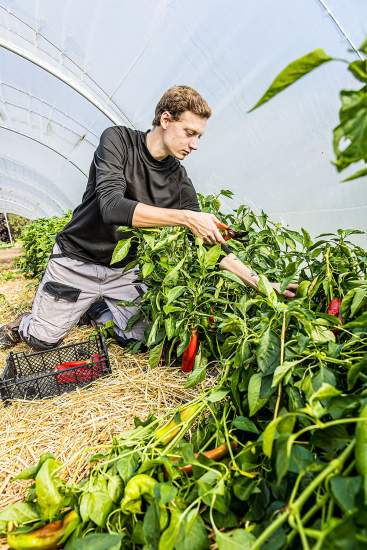 Christophe &amp; Delphine Dufossé · Domaine de Beaulieu | Equipe