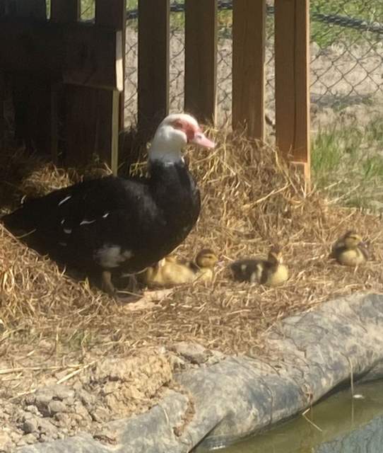 Galerie Photos · Domaine de Beaulieu 