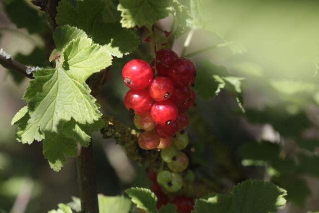 Galerie Photos · Domaine de Beaulieu 