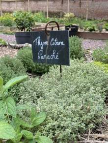 Domaine de Beaulieu · Espace Parc &amp; Jardin