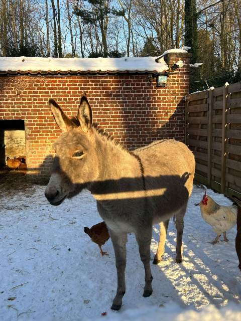 Galerie Photos · Domaine de Beaulieu 