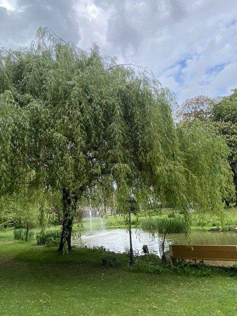 Galerie Photos · Domaine de Beaulieu 