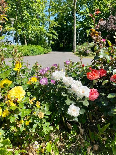 Galerie Photos · Domaine de Beaulieu 