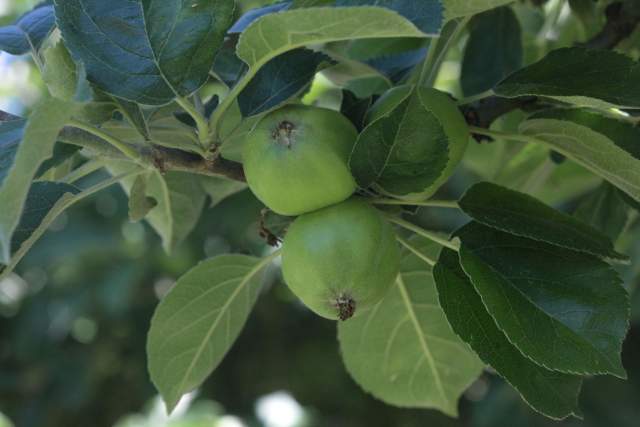 Galerie Photos · Domaine de Beaulieu 