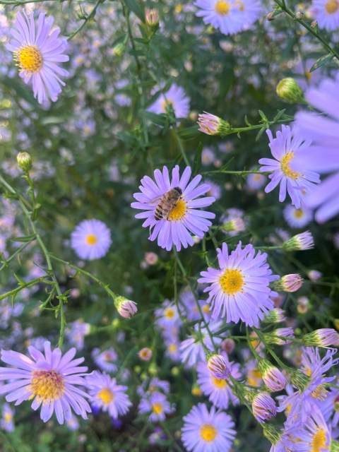 Galerie Photos · Domaine de Beaulieu 