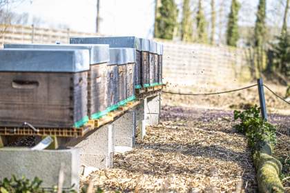 Domaine de Beaulieu · Espace Parc &amp; Jardin