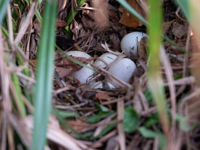 Galerie Photos · Domaine de Beaulieu 