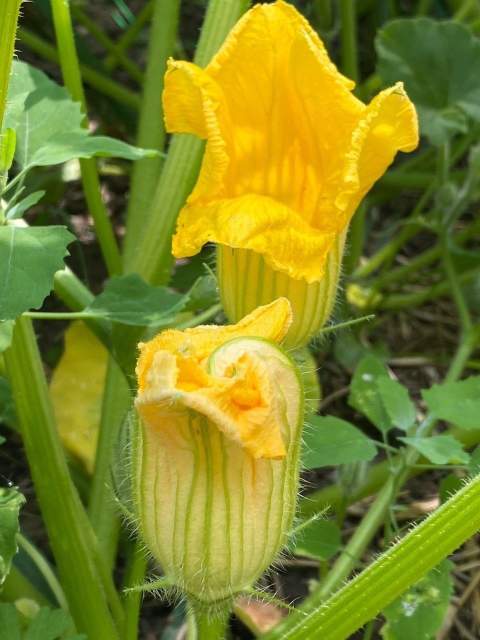 Galerie Photos · Domaine de Beaulieu 