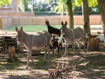 Domaine de Beaulieu · Espace Parc &amp; Jardin