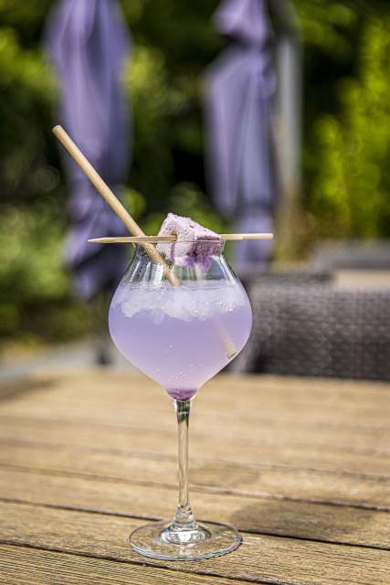 Galerie Photos · Domaine de Beaulieu 