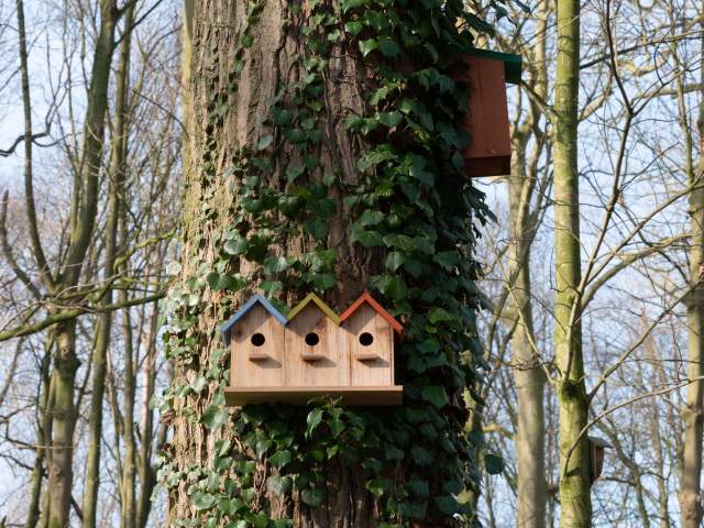 Galerie Photos · Domaine de Beaulieu 