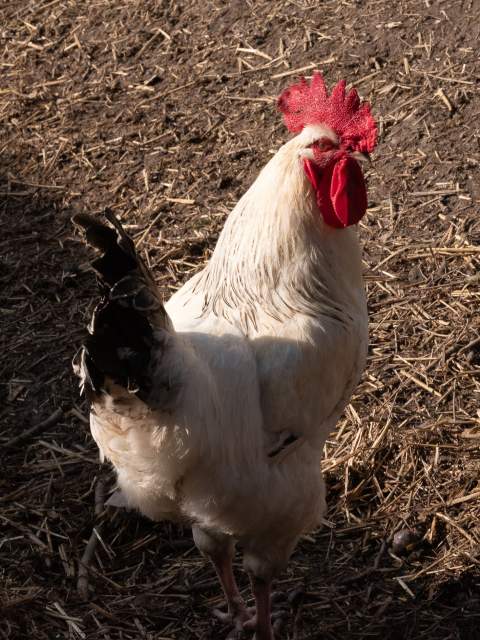 Galerie Photos · Domaine de Beaulieu 