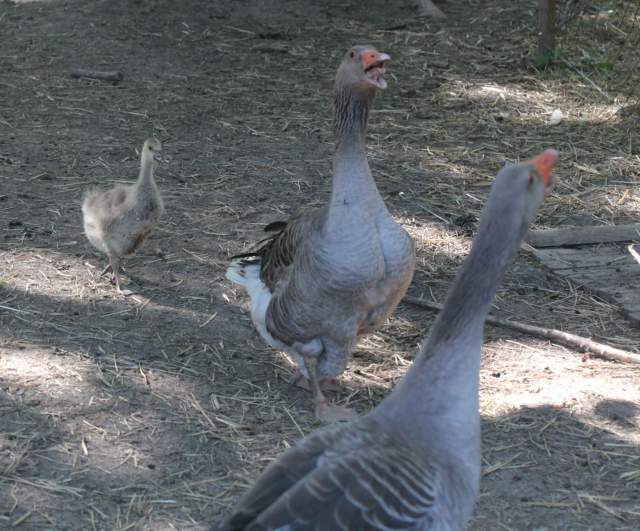 Galerie Photos · Domaine de Beaulieu 