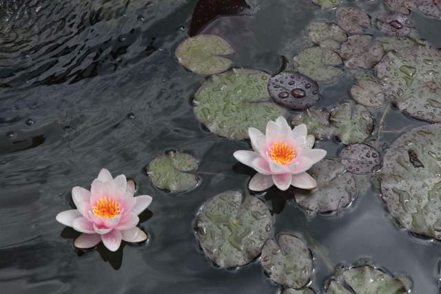 Galerie Photos · Domaine de Beaulieu 