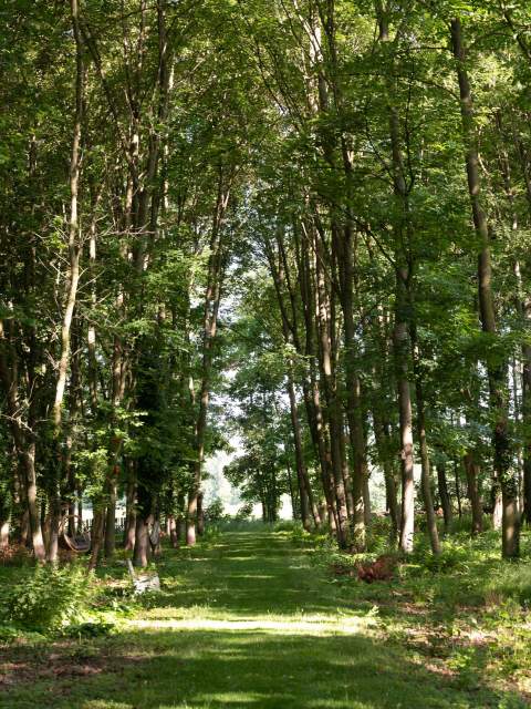 Photo Gallery · Domaine de Beaulieu 