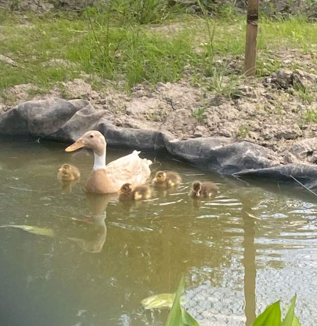 Galerie Photos · Domaine de Beaulieu 