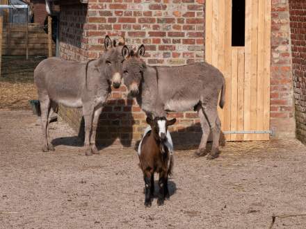 Domaine de Beaulieu · Espace Parc &amp; Jardin