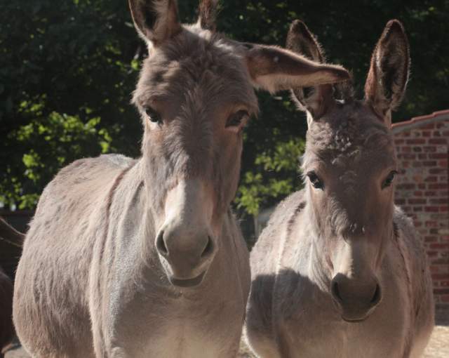 Galerie Photos · Domaine de Beaulieu 