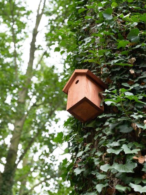 Galerie Photos · Domaine de Beaulieu 