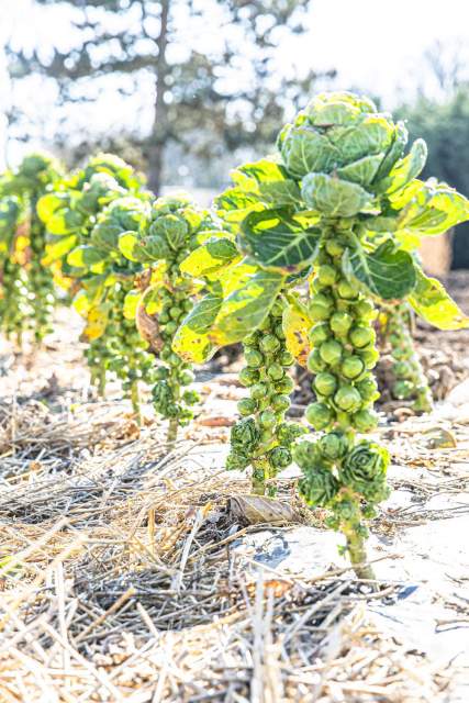 Galerie Photos · Domaine de Beaulieu 