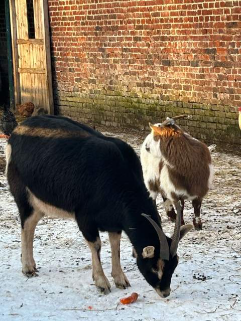 Galerie Photos · Domaine de Beaulieu 