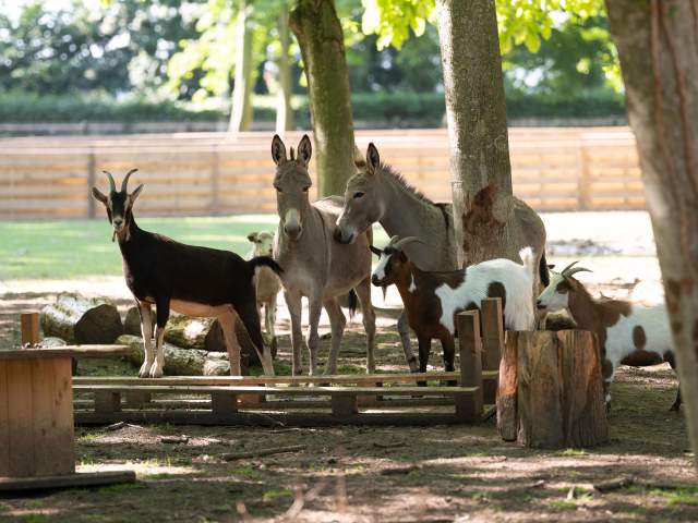 Galerie Photos · Domaine de Beaulieu 